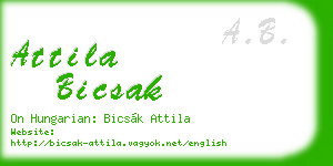 attila bicsak business card